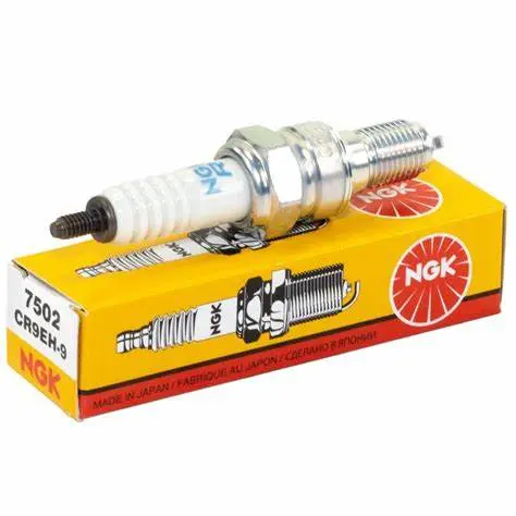 Bujia NGK CR9EH-9