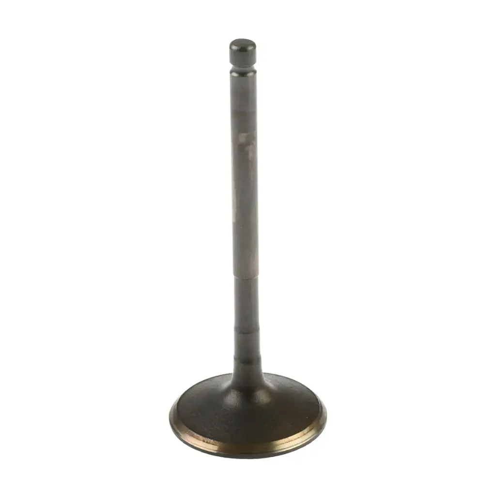 Valvula de admision ATV200 (20-24)/ ATV200 (20-25) 