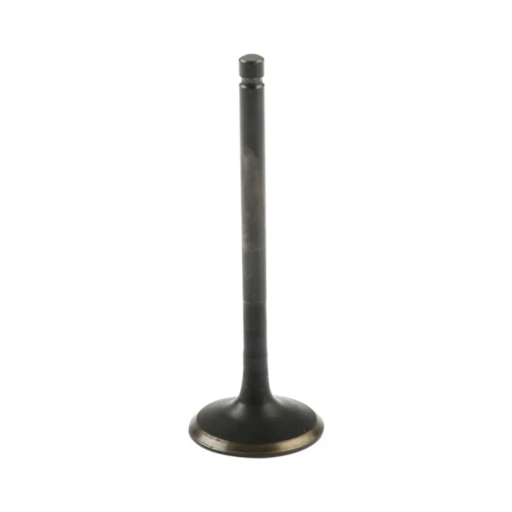 Valvula de escape ATV200 (20-24)/(20-25)