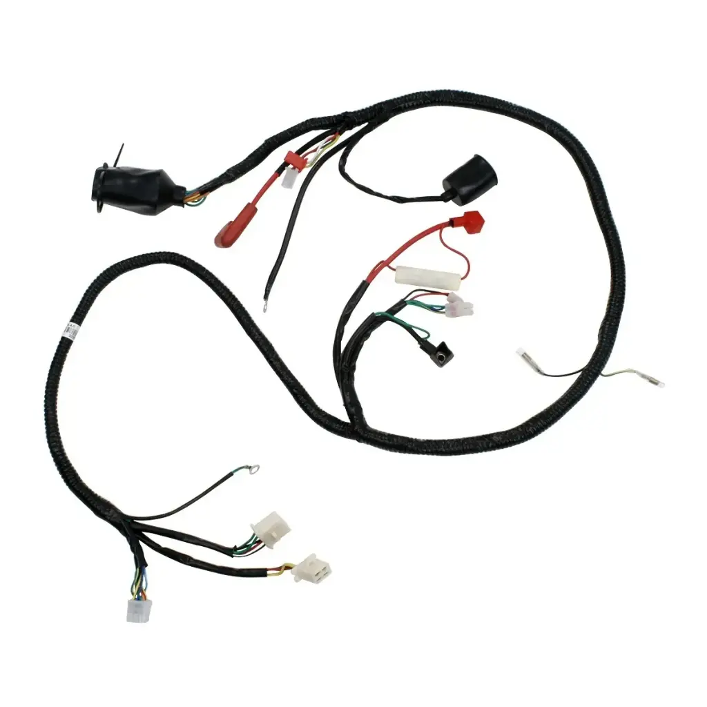 Arnes principal CS125 