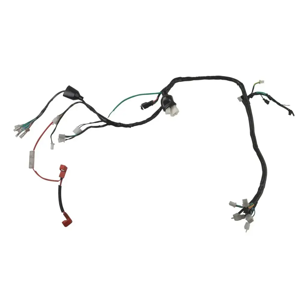 Arnes principal RC200(19-24) 