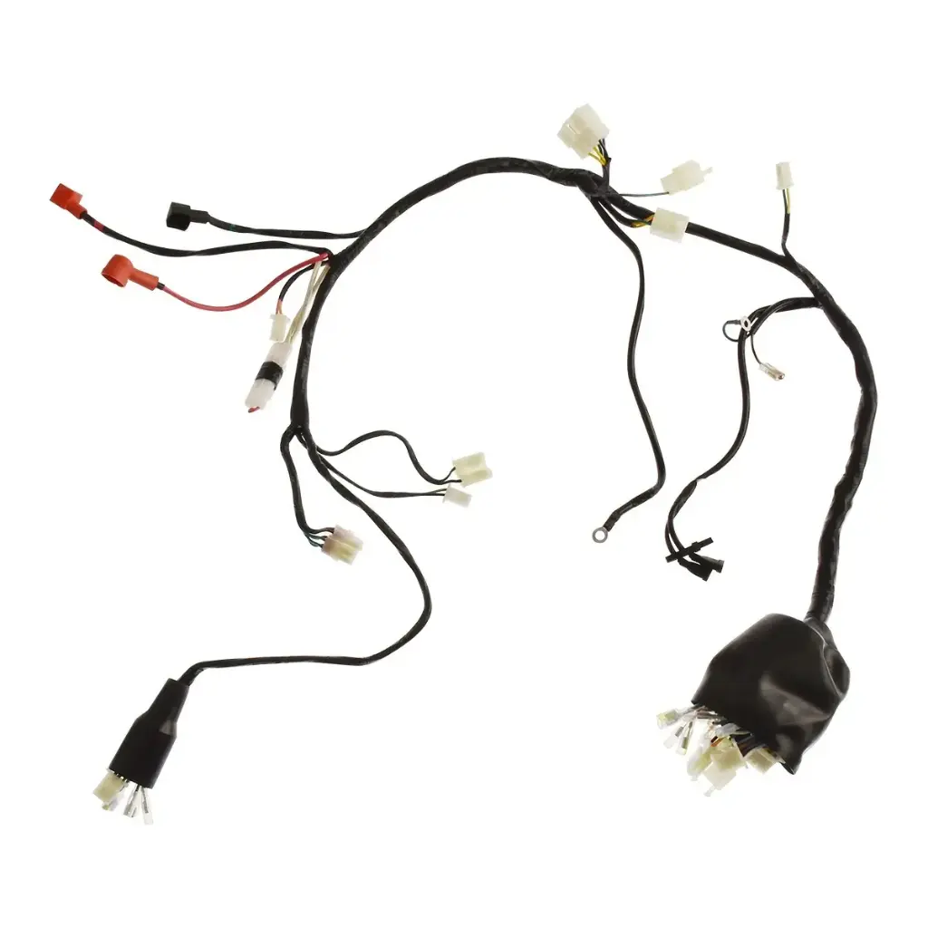 Arnes principal DM250 (20-23) 