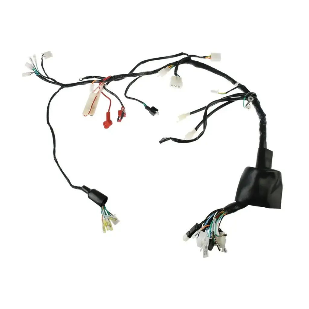 Arnes principal DM250X (22-24) 