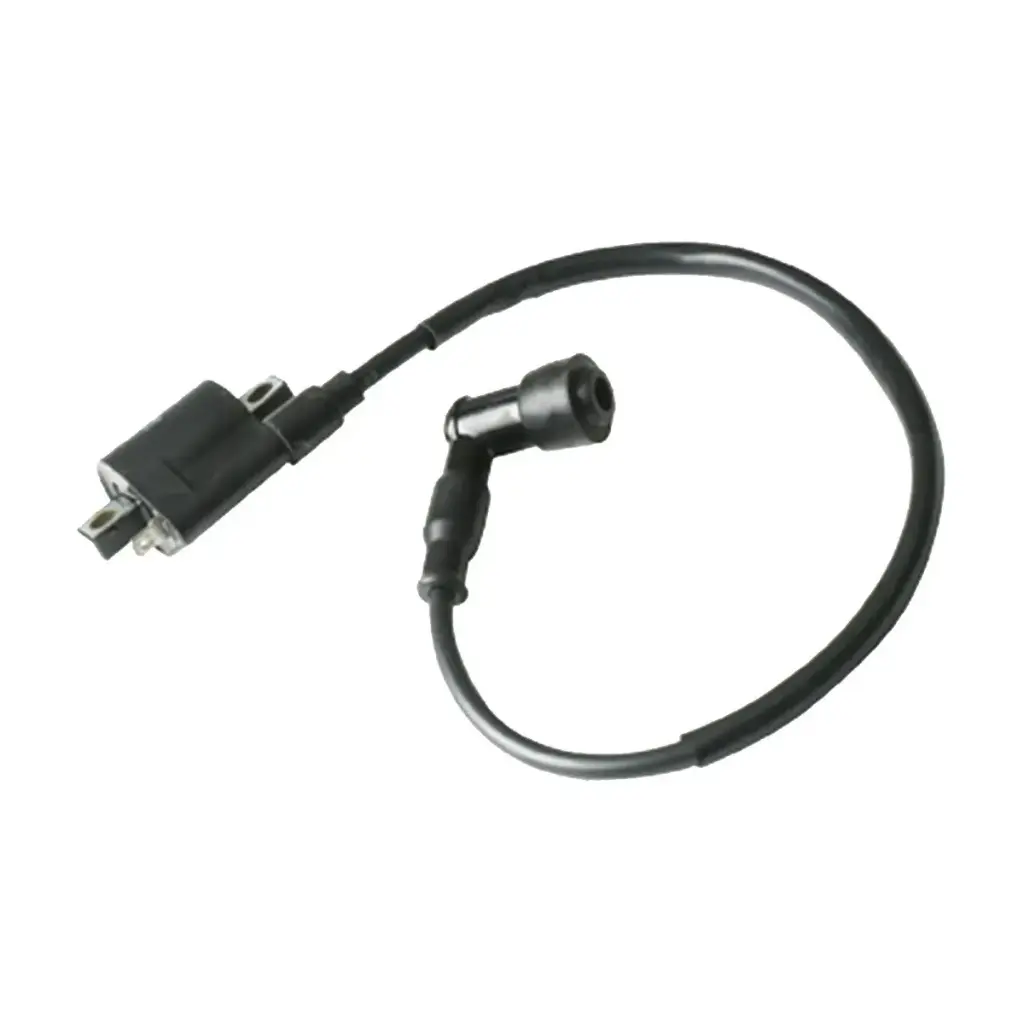 Bobina de ignicion DT200 SPORT, FT180, FT200, FT200 AM, FT250, FT250TS, RT180, FIERA250, FIERA200 