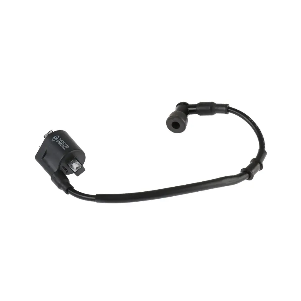 Bobina de ignicion DM250 