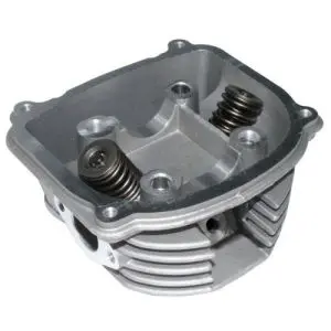 E02010008 Cabeza de cilindro con valvulas DS150, WS150, ATV150, GS150 