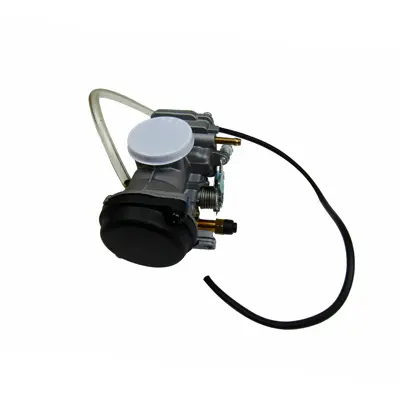 Carburador  Suzuki EN125 2A 