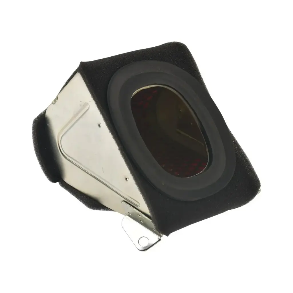 Filtro de aire  CS125, CS125LED, DS125, DSG125, City 125, VGO125, Vitalia 125, Vitalia 150, X125G, X125GTS, XS125 