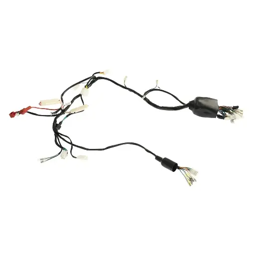 [F06050245] Arnes principal DM250(22-24)