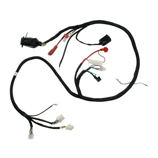 [F06050004] Arnes principal CS125 
