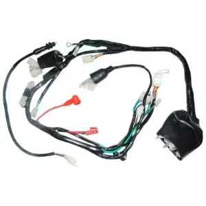 [ARN-040] F06050067 Arnes principal DM200, Crossmax 200 