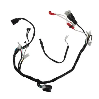 [20-5586-001] F06050042 Arnes principal DM150 (10-19) 