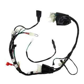 [20-5566-001] F06050067 Arnes principal DM200, Crossmax 200 