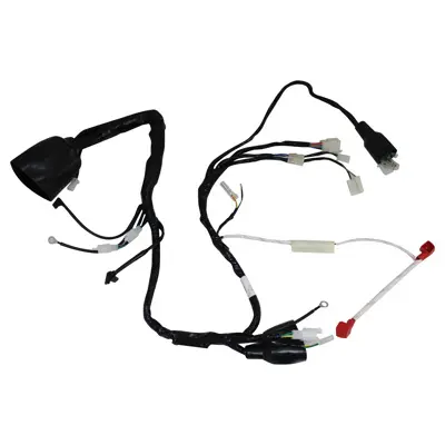 [20-7003-001] Arnes principal Veloci Xeverus 250 