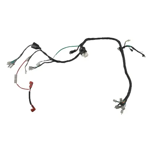 [F06050173] Arnes principal RC200(19-24) 