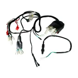 [ARN-081] F06050189 Arnes principal DM250 (20-23) 