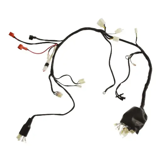 [F06050189] Arnes principal DM250 (20-23) 