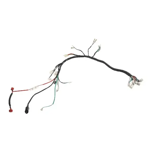 [F06050172] Arnes principal FT150TS (19-22) 