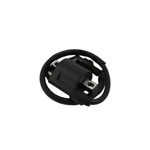 [BOCN29] VC02060011 Bobina de ignicion Vento Rocketman 250, Rocketman 250 (20-21),Rocketman Carrera 250 (22),Rocketman Racing 250 (22-23),Rocketman Sport 250 (20-22),Thunderstar 250 (20-23),Tornado 250 (21-22),Workman 250 (20-22) 