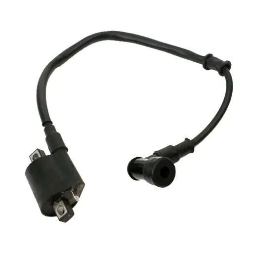 [F06060030] Bobina de ignicion DM150 