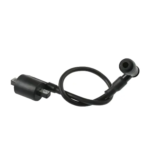 [F06060050] Bobina de ignicion DM125, DM200, ZDM200, DM150 SPORT,  DM125(17-21), DM200(14-23), DM150 Sport(19-21), DM200 Sport (19-21),DM250X(22-23),DM250(20-23), Crossmax 200 