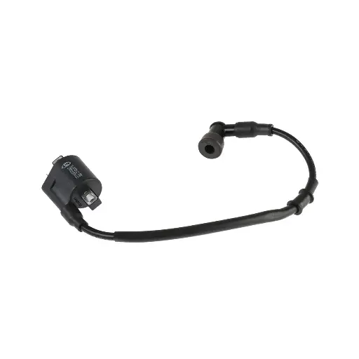 [F06060067] Bobina de ignicion DM250 
