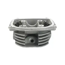 [41-5032-001] E02010008 Cabeza de cilindro con valvulas DS150, WS150, ATV150, GS150 
