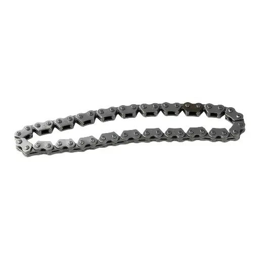 [E09040009] Cadena bomba de aceite DS150, CS125, ATV150, CS125, CS125 LED, D125, DS125, DS150, DS150 NARANJA, DS150 NEGRO, DSG125, GS150, GS150 LED, GS150 LED ELITE, GSC175, GTS175, GTS175 LED, TRN150, VGO125, VITALIA125, W150, WS150, WS150 NF, WS150 SPORT, WS175, WS175 SPORT, X150, XS125, XS150, XS150 NEGRO, XW150, MODENA 150, MODENA 175, DS150G, VITALIA125G, X150D  