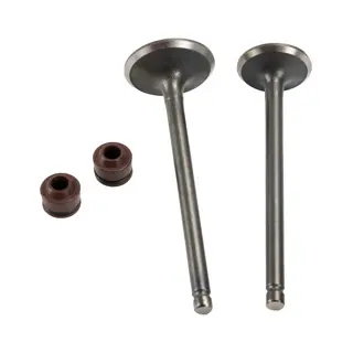 [21-2163-001] Kit de valvulas Honda Navi 110, Dio 110