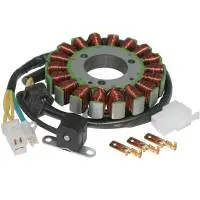 [ST289] Estator Suzuki GZ250 (99-10) 