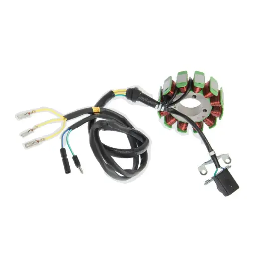 [E05010007] Estator EX200(07-08), RT200(09-13), RT200 Negra (13-15) 