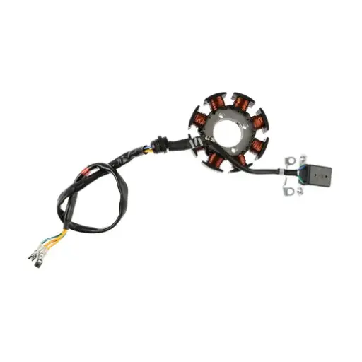 [E05010078] Estator DM300(25), TC300(25) 