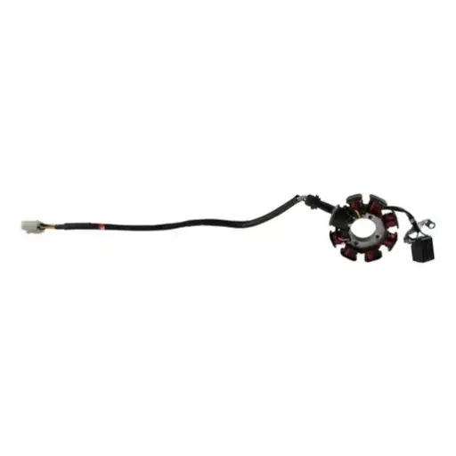 [E05010053] Estator DM125(17-21), DM150 Sport(19-21),DM250 (20-24), DM250X (22-24) 