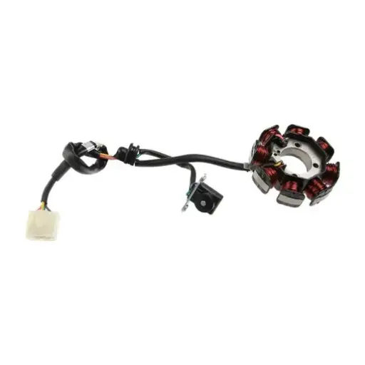 [E05010054] Estator Vort-x 200 (18-22), Crossmax 300 Pro (24) 